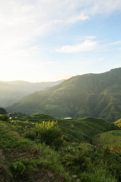 istock Longsheng rice terraces landscape in China 1132503338