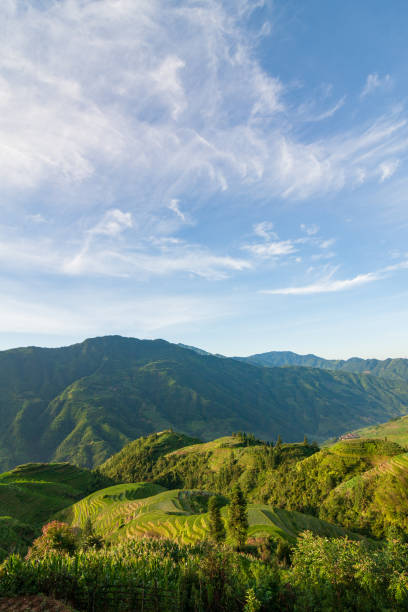 istock Longsheng rice terraces landscape in China 1132503499