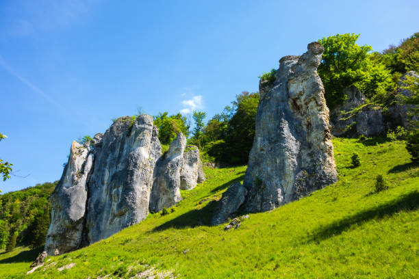 rock landscape on the altmühltal panorama path - altmühltal imagens e fotografias de stock
