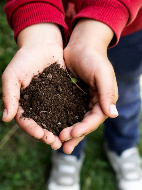 istock Close up hand holding soil peat moss,Garden Hands, 1132510207