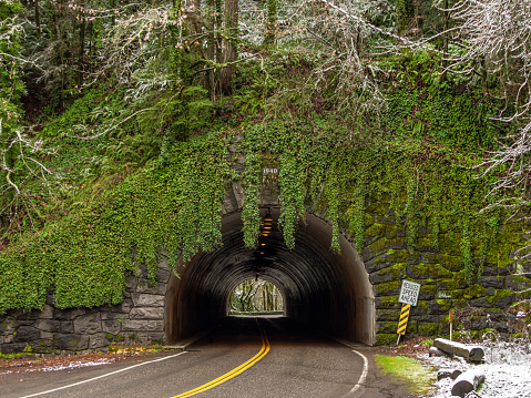 A view looking into Cornell Tunnel #1 on Cornell road in Portland, Oregon. Built in 1940 sign is visible at the top of the tunnel, surrounded by green vegetation and snow.