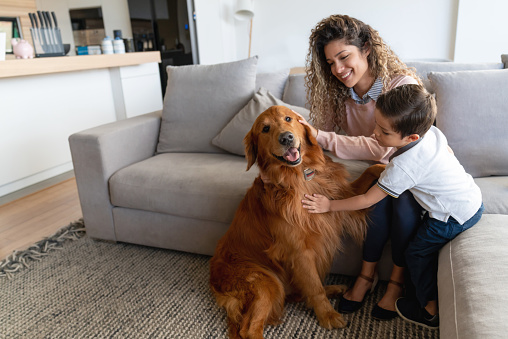 Portrait of a happy mother and son at home petting their dog and smiling â lifestyle concepts