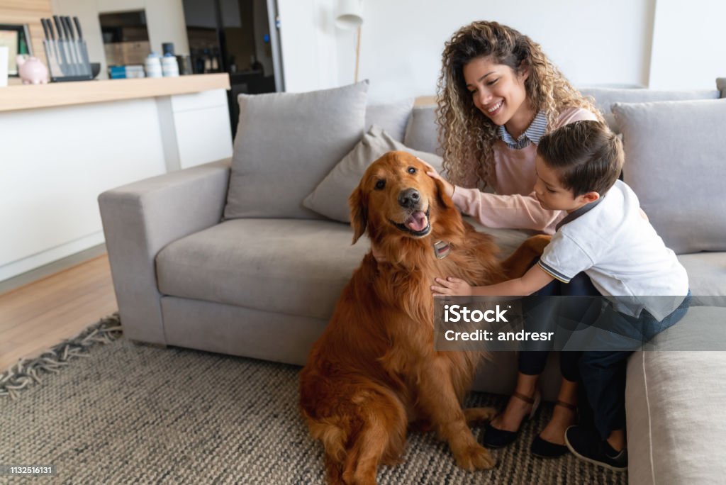 Happy mother and son at home petting their dog Portrait of a happy mother and son at home petting their dog and smiling â lifestyle concepts Family Stock Photo