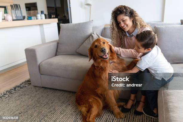 Happy Mother And Son At Home Petting Their Dog Stock Photo - Download Image Now - Family, Dog, Pets