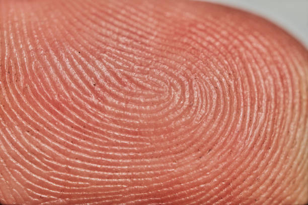 istock close up macro image of a human finger. 1132522330