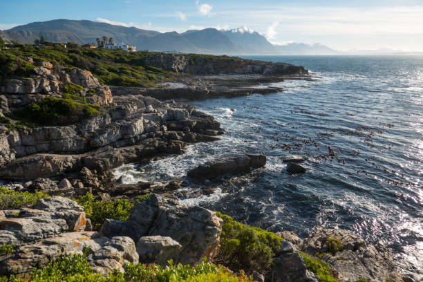 istock Coast of Atlantic Ocean at Hermanus 1132522984