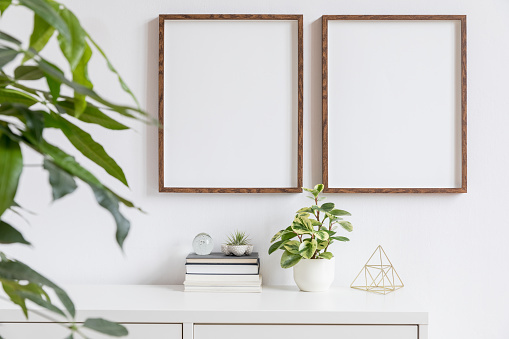 Minimalistic home decor of interior with mock up frames. Modern concept of white room with plants.