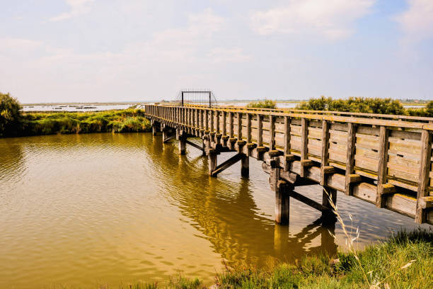 istock Landscape The Po Delta 1132534380