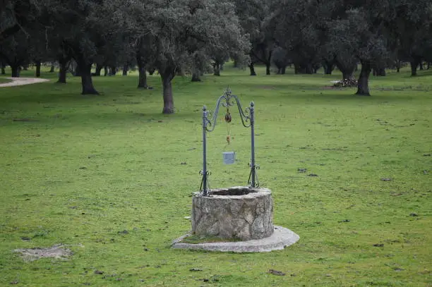 Water  well on the field