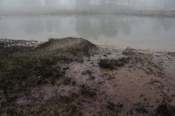 Water's edge Misty morning at the water's edge cold Rode Beek in the heath area cold Brunssummerheide rustige scène stock pictures, royalty-free photos & images