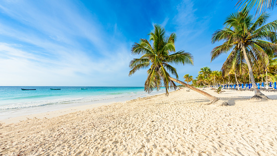 Paradise Beach (también conocida por Playa Paraiso) en el soleado día de verano-hermosa y tropical costa caribeña en Tulum en Quintana Roo, Riviera Maya, Cancún, México photo