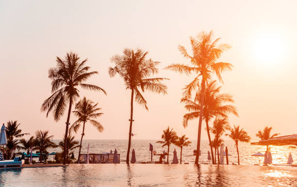 istock Beautiful tropical beach with palm trees. Sunrises and sunsets. Ocean. 1132538590
