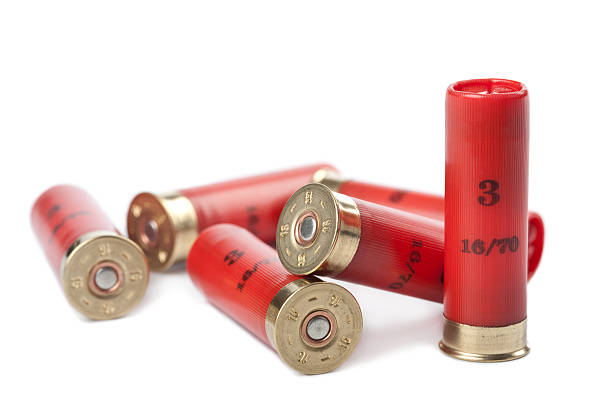 istock shotgun cartridges isolated over white 113253995