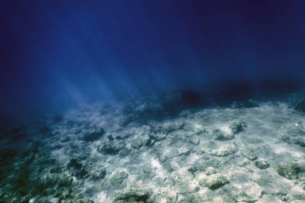 istock Sea Life Underwater rocks Sunlight, Underwater Life. 1132541352