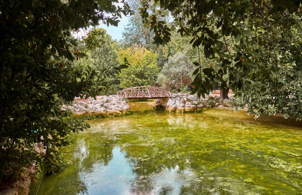 Garden pond with small bridge and trees