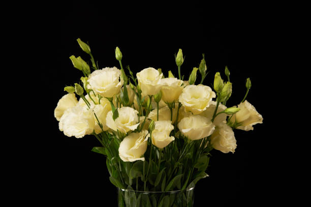 istock Bunch of tender yellow flowers 1132546099
