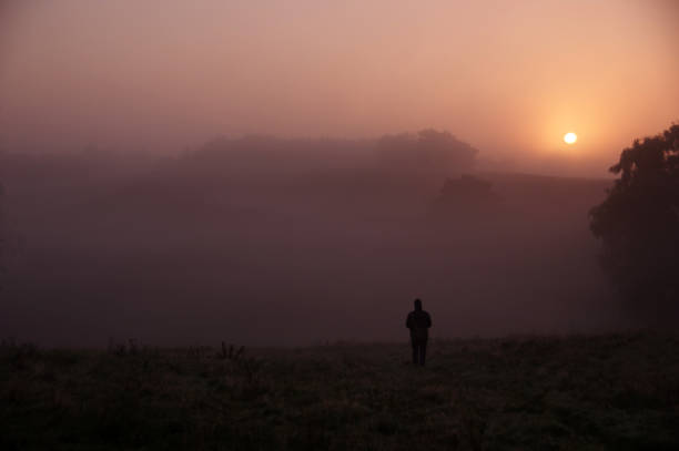 Misty heath Misty morning in the heath area cold Brunssummerheide rustige scène stock pictures, royalty-free photos & images