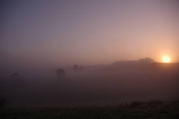 Misty heath Misty morning in the heath area cold Brunssummerheide rustige scène stock pictures, royalty-free photos & images