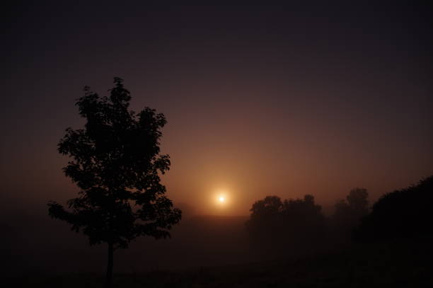 Misty heath Misty morning in the heath area cold Brunssummerheide rustige scène stock pictures, royalty-free photos & images