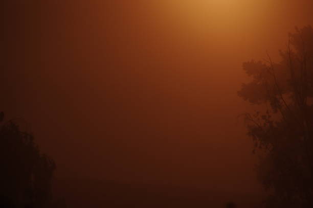 Misty heath Misty morning in the heath area cold Brunssummerheide rustige scène stock pictures, royalty-free photos & images