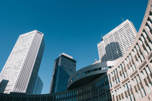 istock Tokyo Metropolitan Government Building (Tocho) 1132557348