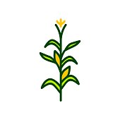 istock corn tree vector icon illustration color 1132559481
