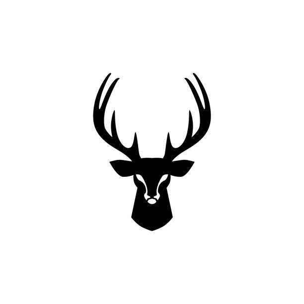 illustrazioni stock, clip art, cartoni animati e icone di tendenza di ispirazione di design vettoriale testa di cervo - cervo maschio
