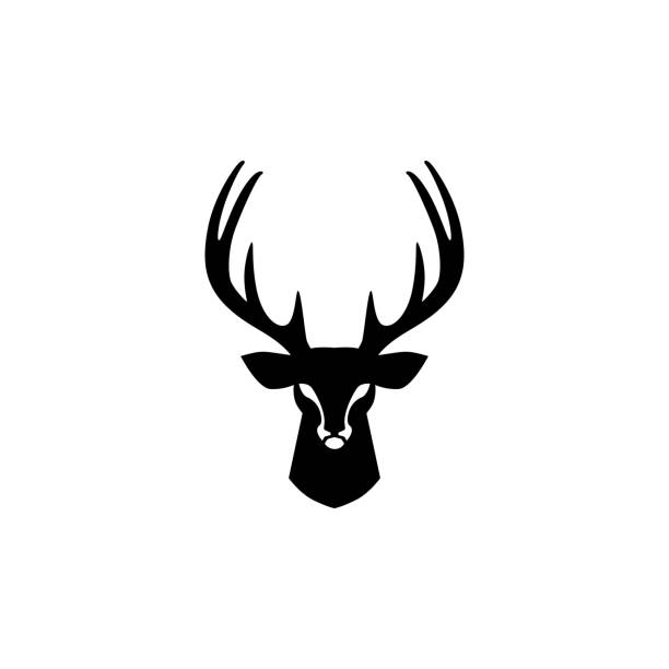 deer head vector design inspirations deer head vector design inspirations deer stock illustrations