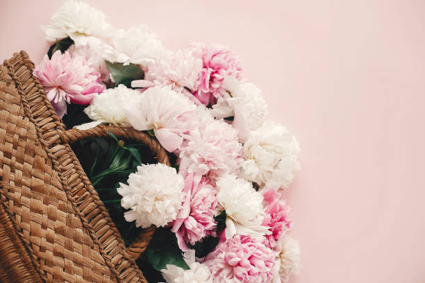 istock Stylish  straw rustic basket with pink and white peonies on pink paper flat lay with space for text. Hello summer. International womens day. Happy mothers day. Greeting card mockup. 1132564270
