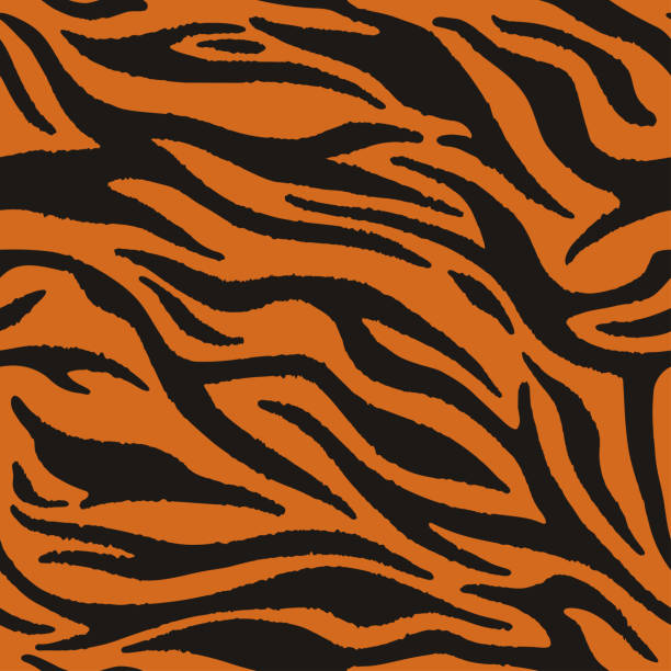 1,200+ Bengal Tiger Stripes Illustrations, Royalty-Free Vector Graphics ...