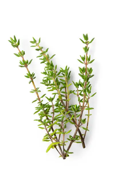 Photo of Fresh thyme sprigs isolated on white from above.