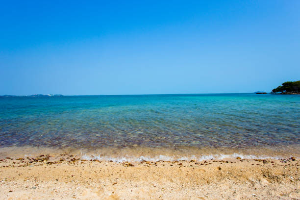 タル島、ビーチ、ラヨーン、夏、タイ - beach sunset sand wood ストックフォトと画像