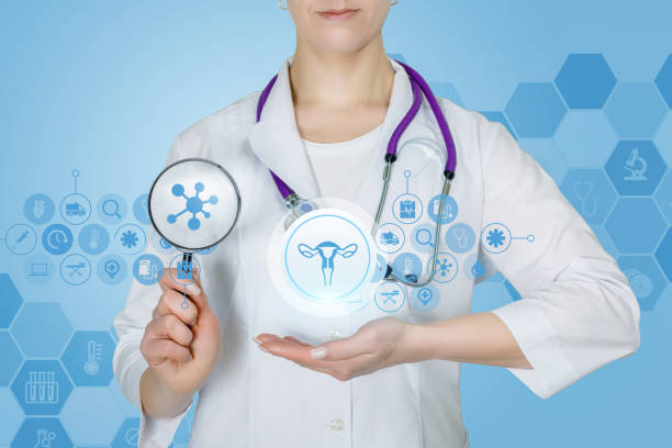 istock A doctor with a magnifier and a gynecology structure system. 1132581006