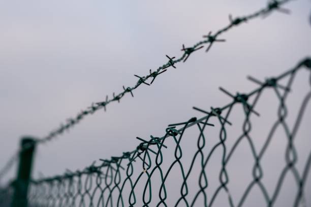 istock Barbed wire on the fence. 1132582449
