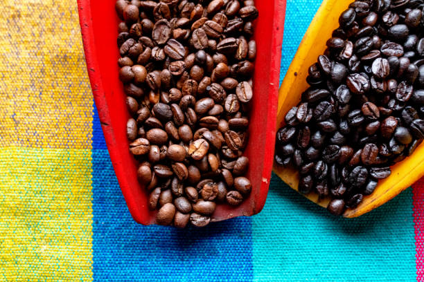 istock Two Scoops of Fresh Organic Coffee Beans 1132582769