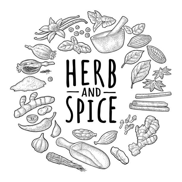 ilustrações de stock, clip art, desenhos animados e ícones de circle shape set with herb and spice. set vector black engraving - cardamom cinnamon mortar and pestle herb