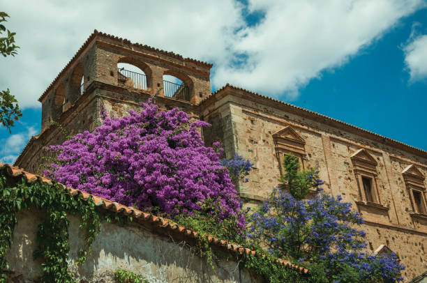 istock Flowering trees among old stone buildings 1132584985