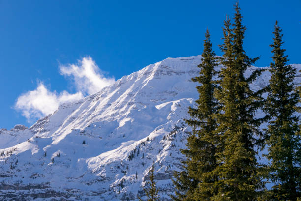 Photo of A snow covered mountain on a clear blue winter day in the Mountains at Black Prince Cirque in Kananaskis, Alberta