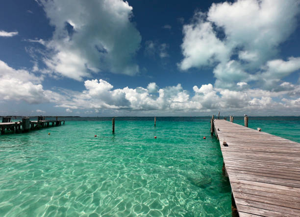 istock Wooden pier with ocean view 1132598167