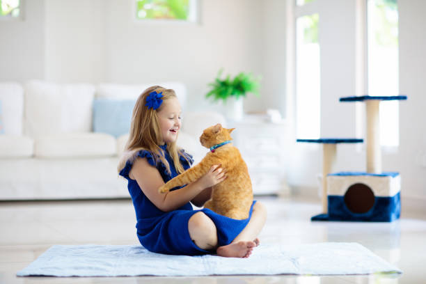 istock Child playing with cat at home. Kids and pets. 1132602918