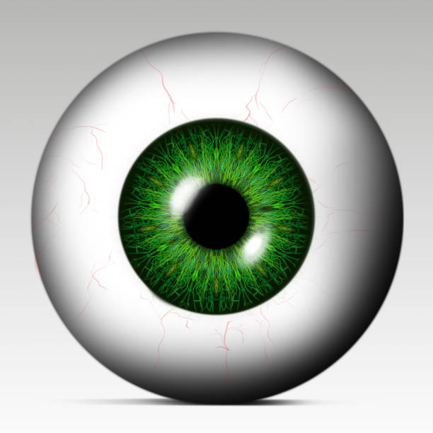 istock Green eye ball on a white background. 1132604306