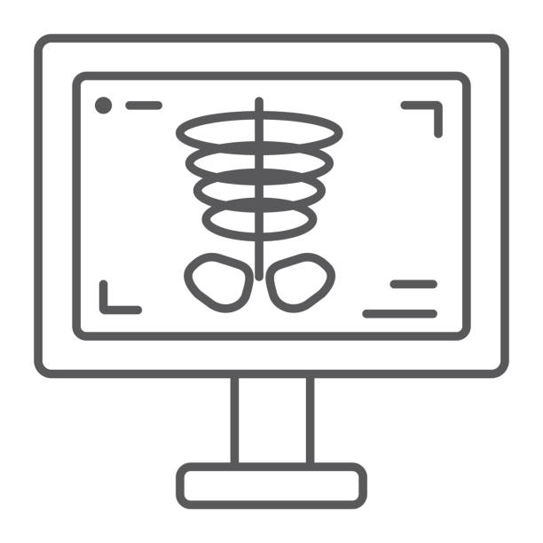 ilustrações de stock, clip art, desenhos animados e ícones de x-ray thin line icon, medicine and bone, skeleton sign, vector graphics, a linear pattern on a white background. - human bone the human body healthcare and medicine human skeleton