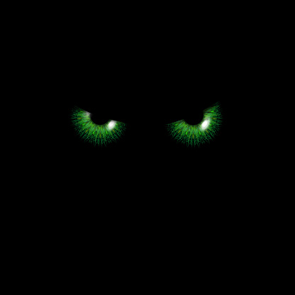 Illustration of angry green eyes on a black background.