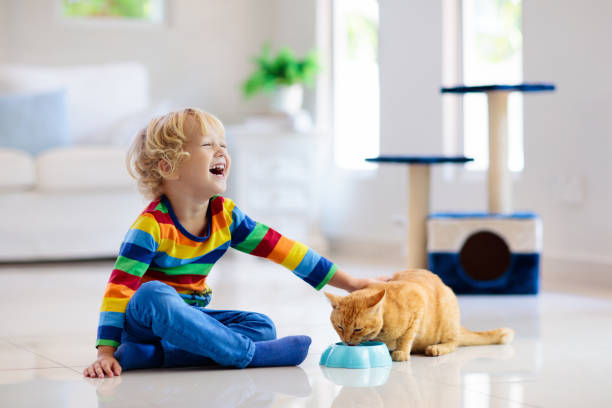 istock Child playing with cat at home. Kids and pets. 1132607337