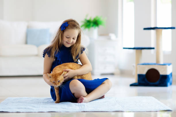 istock Child playing with cat at home. Kids and pets. 1132607443