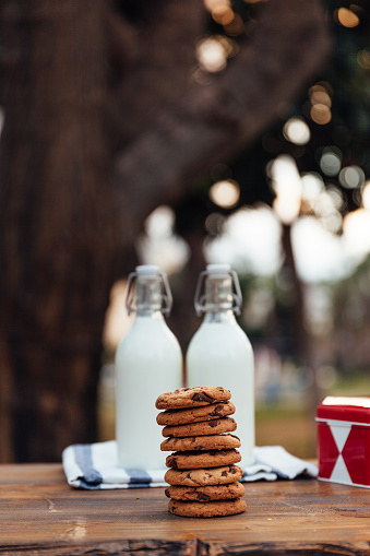 Chocolate cookies with a bottle of milk.