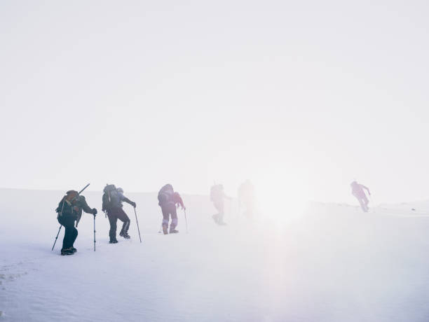 gruppo di scalatori stanno camminando sulla vetta della montagna - turkey extreme terrain snow nature foto e immagini stock