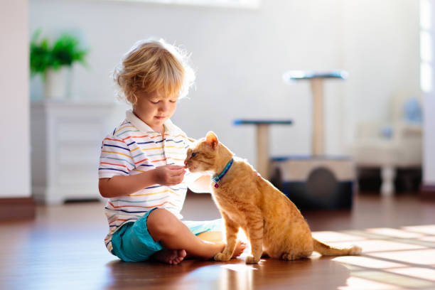 Child playing with cat at home. Kids and pets.