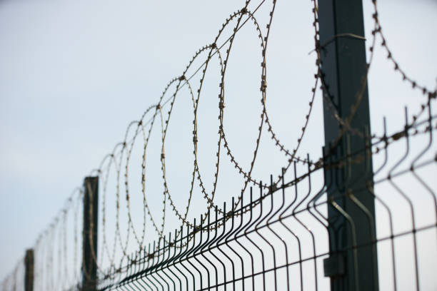 istock Barbed wire against cloudy sky, close-up outdoors 1132609065