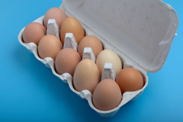 istock ten eggs in a box against blue background, natural shadow in front and behind the open lid. Close up eggs from chicken in the package 1132610475